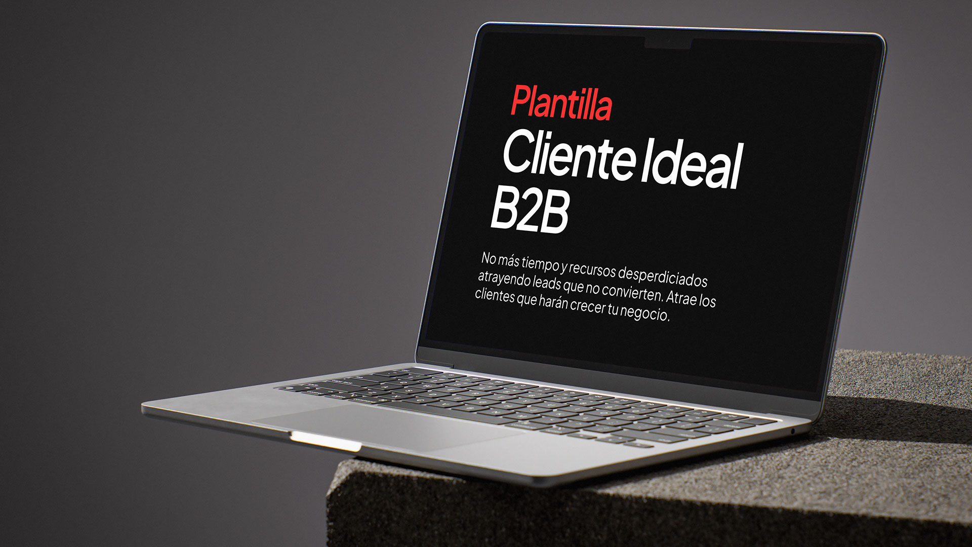 Plantilla cliente ideal